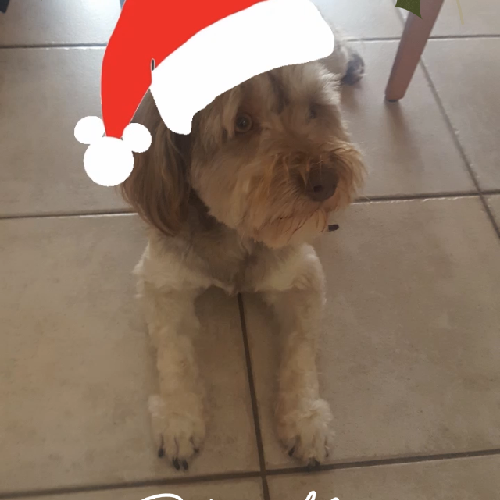 Avatar de Pepette