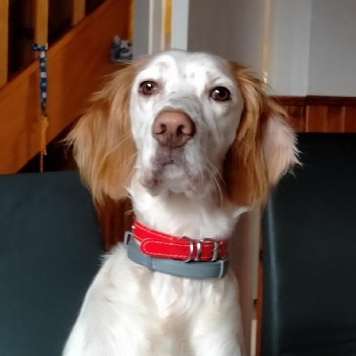 Avatar de MARCO 2