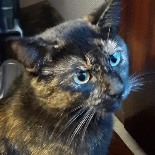 Avatar de Mimi2